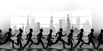 开云体育APP-NBA球队赛事安全管理体系建设，nba球队管理系统数据库