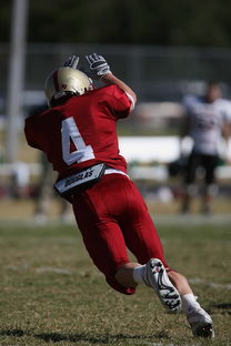 开云品牌-NBA球队防守战术演变分析，nba球队防守效率排行榜