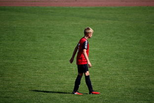 开云平台-世界拳击青年赛中国选手勇夺金腰带，世界拳击表演赛