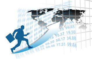 开云APP-中国篮球职业联赛赛事运营管理优化方案，中国篮球竞赛制度改革