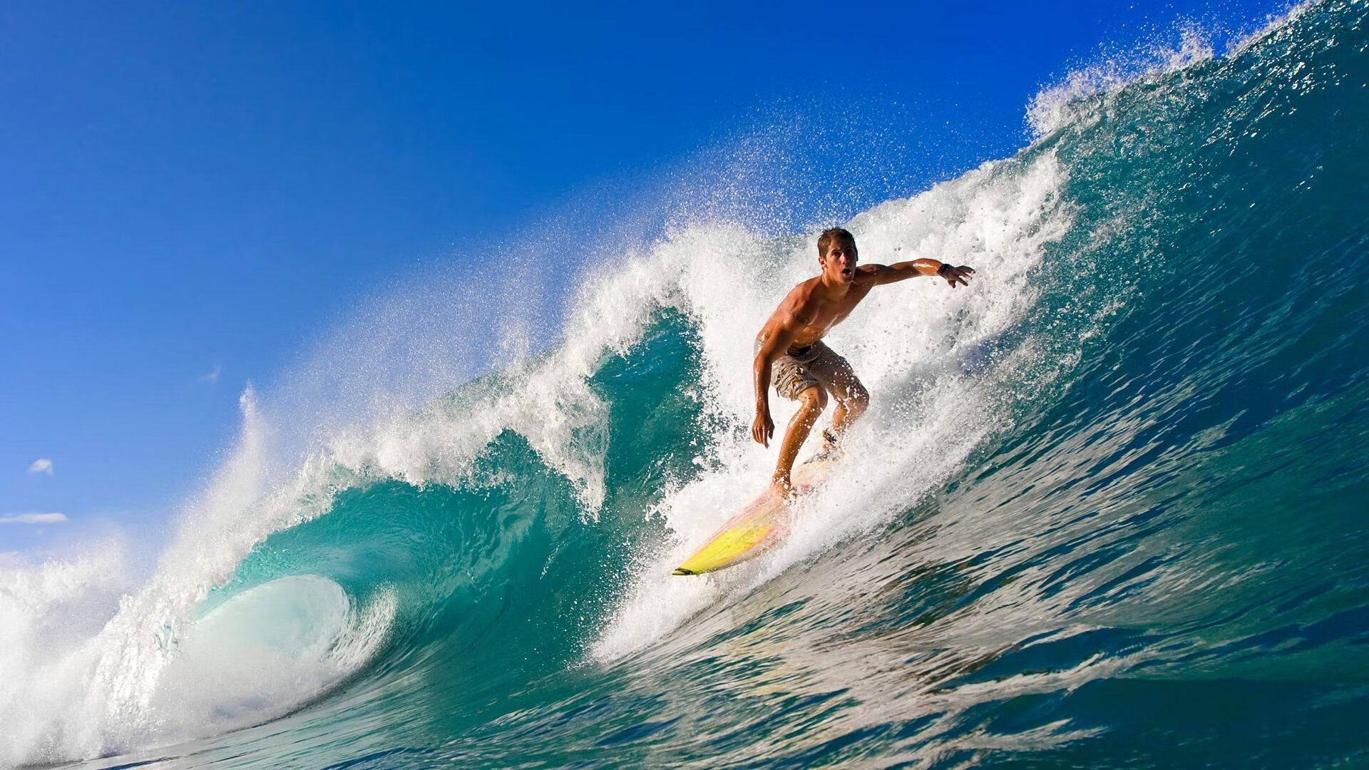 上海大鲨鱼客场战胜广东卫视，终结连败，上海大鲨鱼今天比赛时间